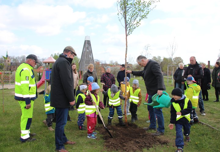 Ortsbürgermeister Albrecht von Bodenhausesn pflanzte mit den Kita-Knirpsen „Thiespatzen“ eine Moor-Birke an der Allee der Jahresbäume in Nordgermersleben.