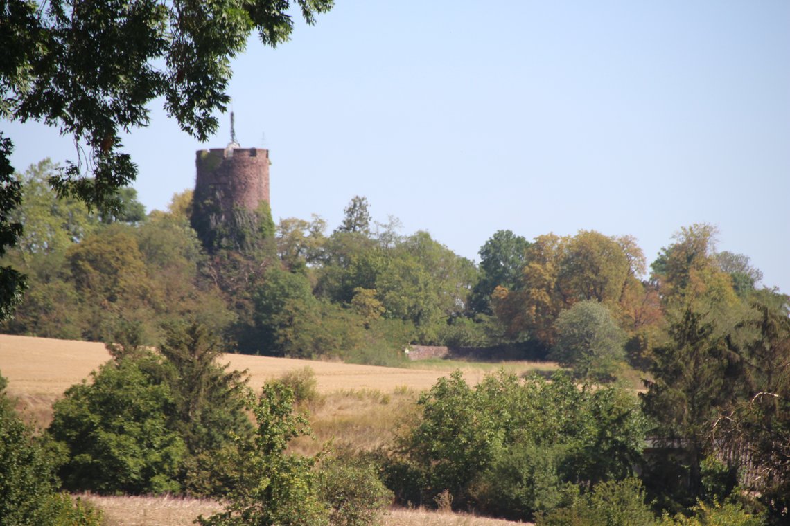 Blick auf den Burgfried der Veltheimsburg