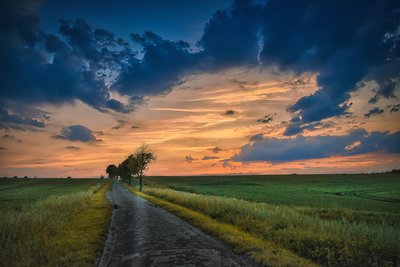 Das Bild zeigt eine Landschaft im Sonnenuntergang.